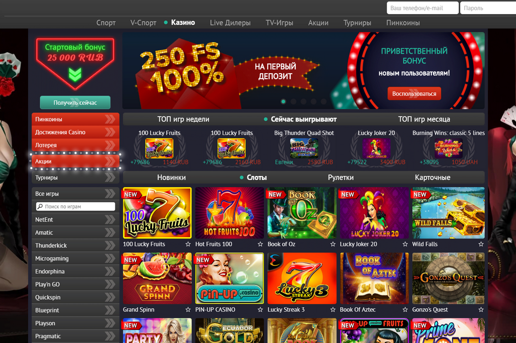 Pin-Up Gambling establishment: User experience Pin-Up Gambling establishment: User experience