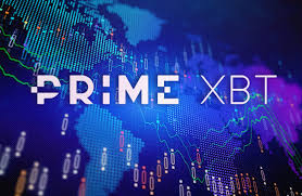 PrimeXBT vs Pocket Option Which Trading Platform Is Right for You PrimeXBT vs Pocket Option Which Trading Platform Is Right for You